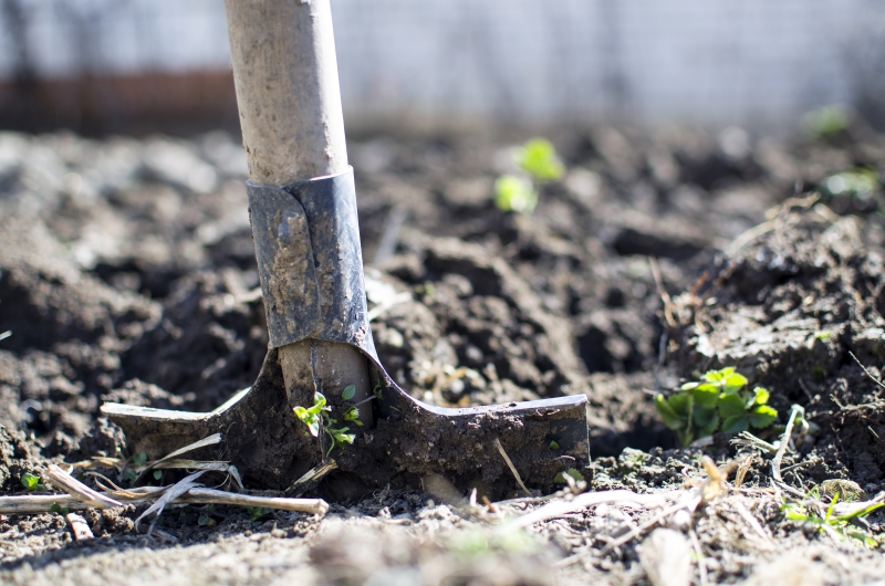 jardinerie-PUGET SUR ARGENS-min_equipment-2047314